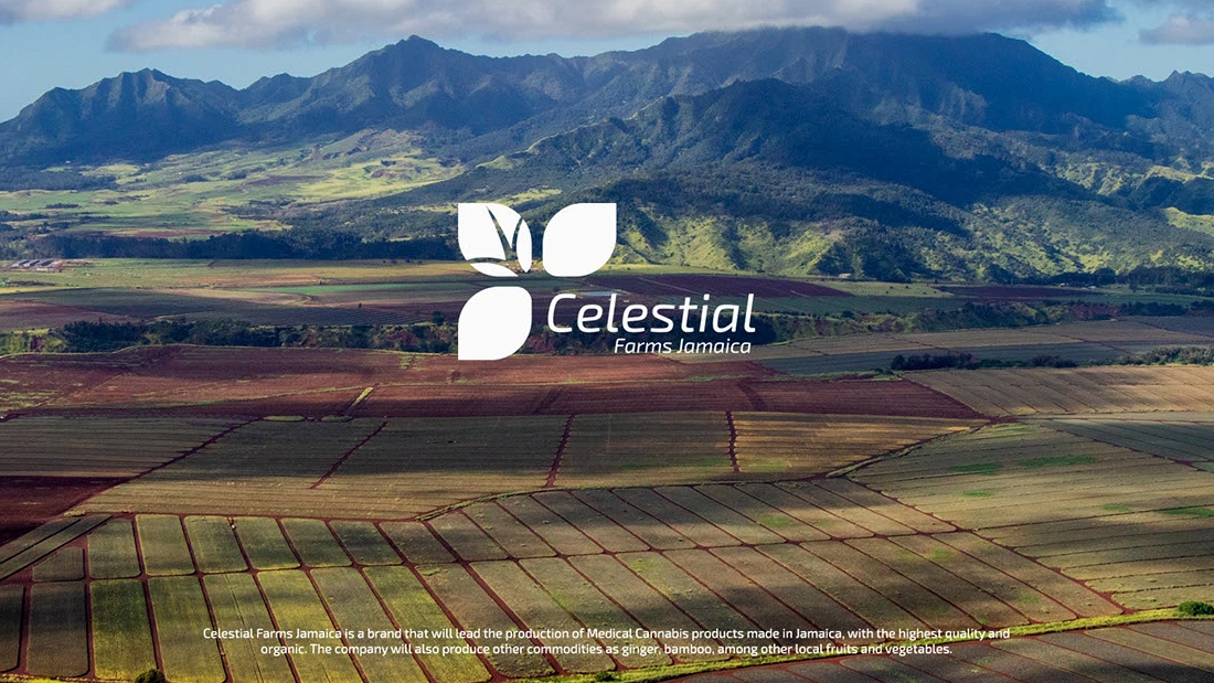 Celestial Farms Jamaica logo over farmland