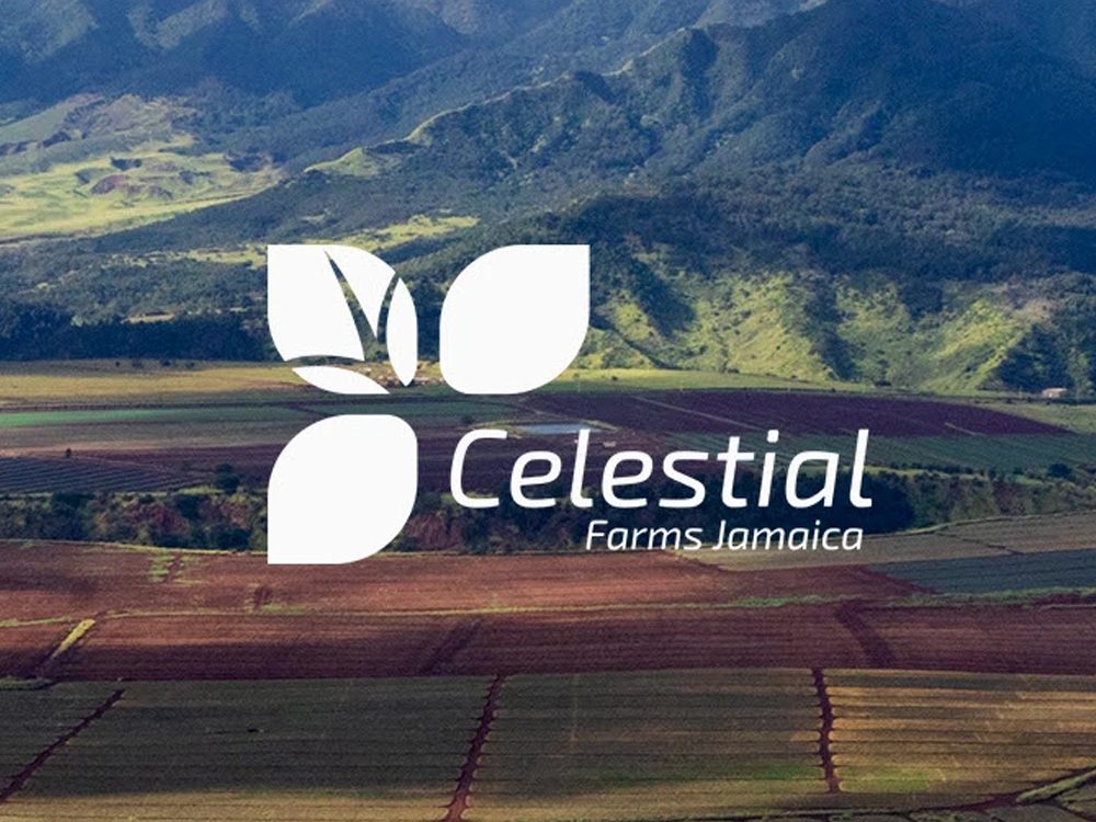 Celestial Farms Jamaica logo over farmland